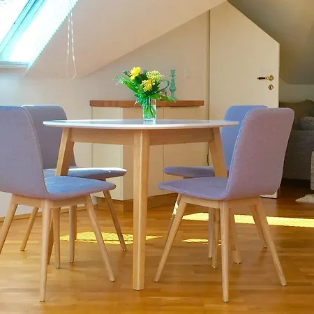 Am Bretschneiderpark Apartment Leipzig